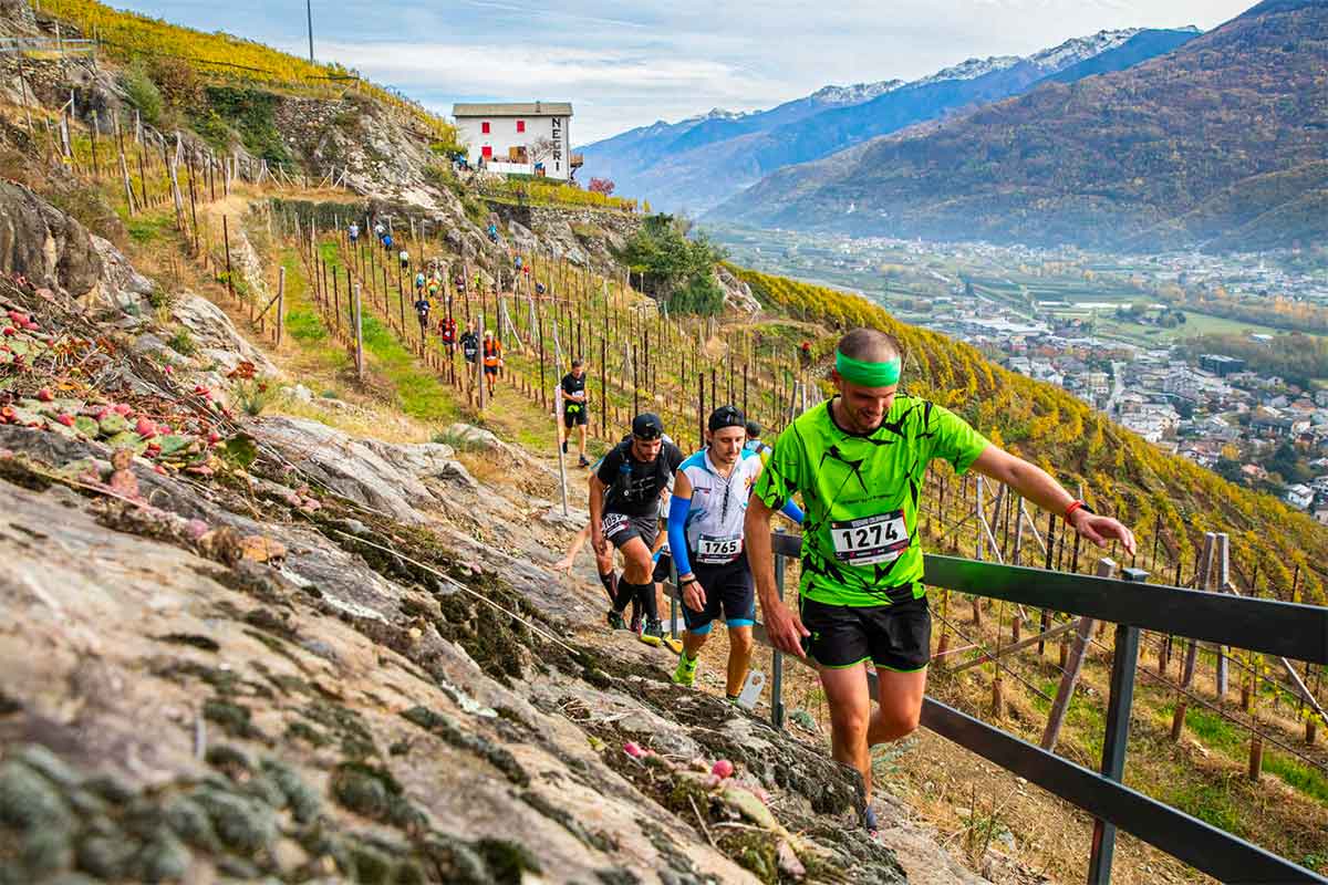 Valtellina Wine Trail 2024 data, iscrizioni e percorsi Run Fast